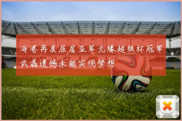 海港再度屈居亚军无缘超级杯冠军武磊遗憾未能实现梦想